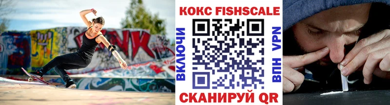 Cocaine Fish Scale  где продают наркотики  Ярославль 