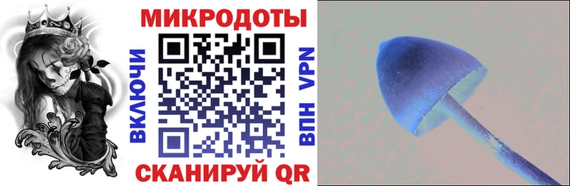 Псилоцибиновые грибы GOLDEN TEACHER Ярославль